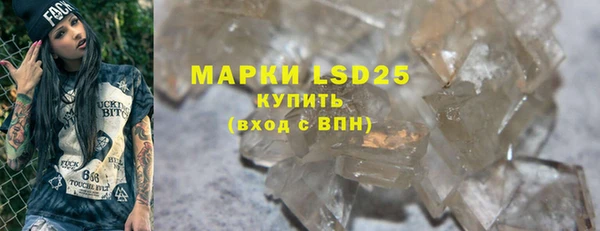 прущие грибы Гусиноозёрск