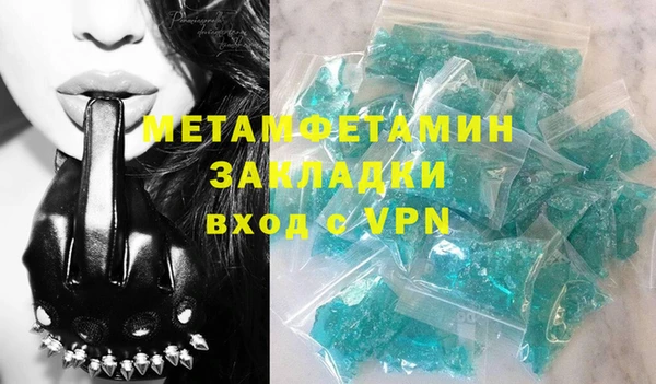 прущие грибы Гусиноозёрск