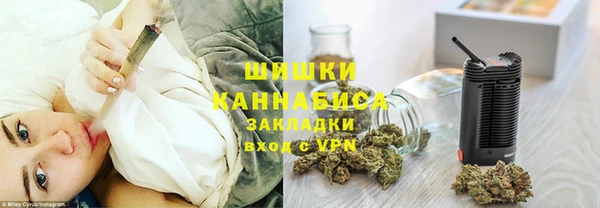 прущие грибы Гусиноозёрск