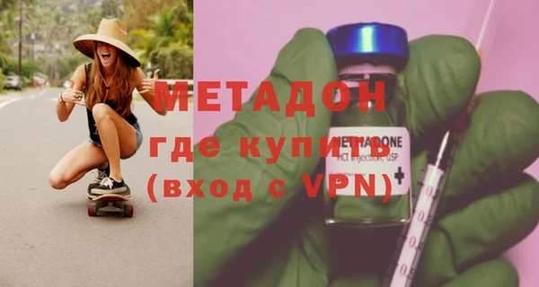прущие грибы Гусиноозёрск