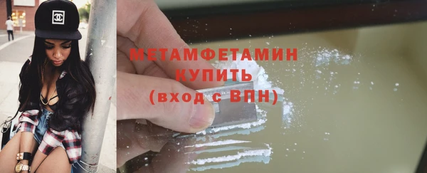 прущие грибы Гусиноозёрск