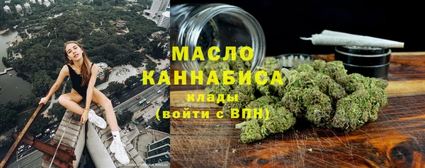 прущие грибы Гусиноозёрск