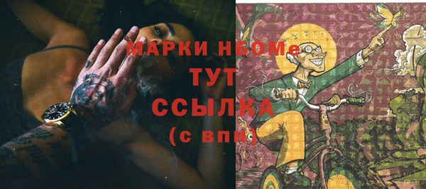 прущие грибы Гусиноозёрск