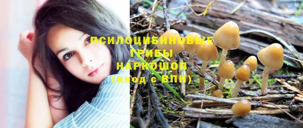 гидропоника Гусев