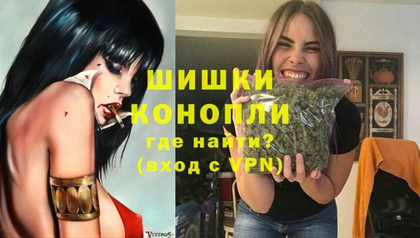 гидропоника Гусев