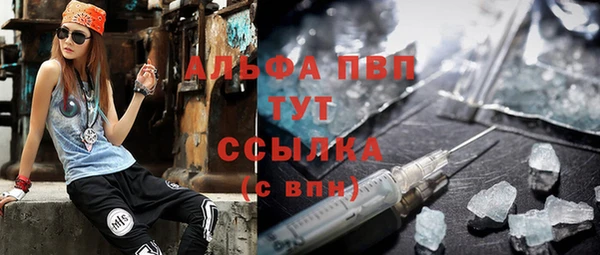 прущие грибы Гусиноозёрск