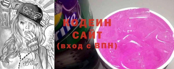 прущие грибы Гусиноозёрск