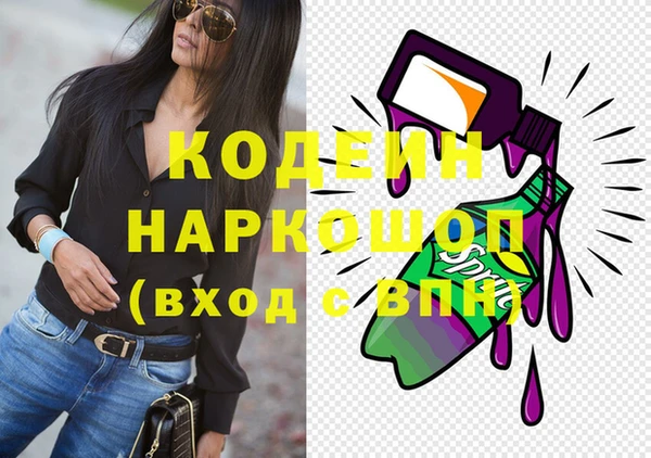прущие грибы Гусиноозёрск