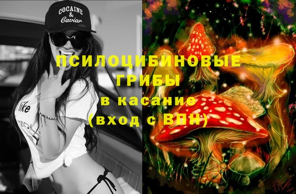 гидропоника Гусев