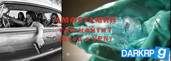 прущие грибы Гусиноозёрск