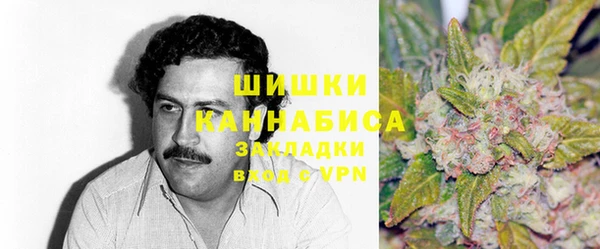 гидропоника Гусев